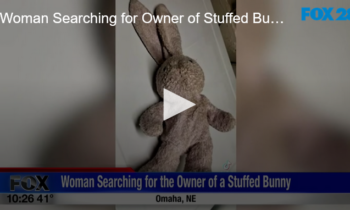 Woman Searching for Owner of Stuffed Bunny