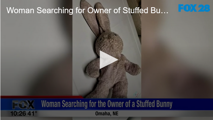 Woman Searching for Owner of Stuffed Bunny FOX 28 Spokane