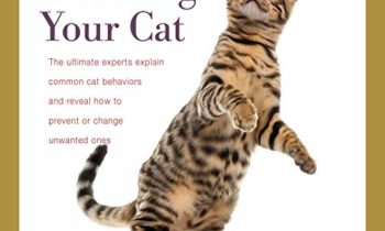 BORROW A BOOK ABOUT CATS ONLINE FROM YOUR PUBLIC LIBRARY