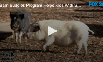 Barn Buddies Program Helps Kids With Social Skills