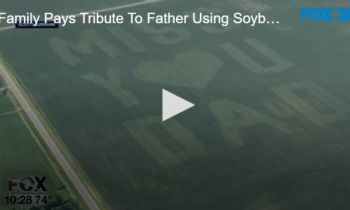 Family Pays Tribute To Father Using Soybean Field