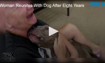 Woman Reunites With Dog After Eight Years