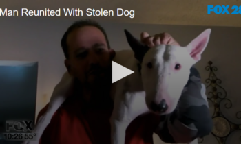 Man Reunited With Stolen Dog