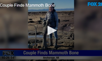 Couple Finds Mammoth Bone