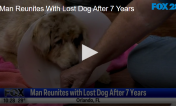 Man Reunites with Lost Dog After 7 Years