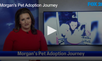 Morgan’s Pet Adoption Journey