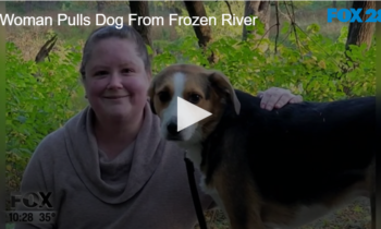 Woman Pulls Dog from Frozen River