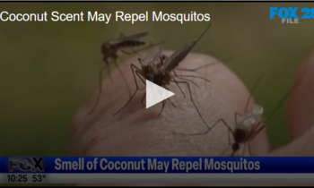 Coconut Scent May Repel Mosquitos