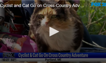 Cyclist and Cat Go on Cross-Country Adventure