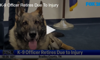 K-9 Officer Retires Due to Injury