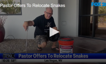 Pastor Offers to Relocate Snakes