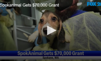 Spokanimal Gets $70,000 Grant