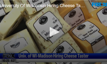 University Of Wisconsin Hiring Cheese Taster