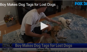 Boy Makes Dog Tags for Lost Dogs