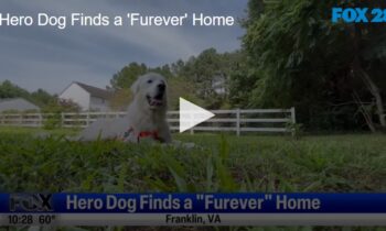 Hero Dog Finds a ‘Furever’ Home