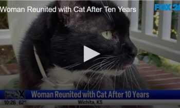 Woman Reunited with Cat After Ten Years