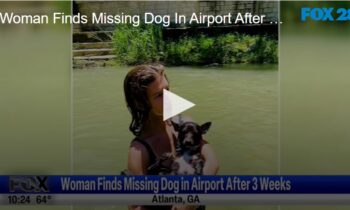 Woman Finds Missing Dog in Airport After 3 Weeks