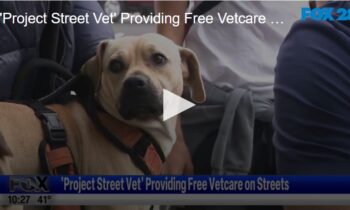 ‘Project Street Vet’ Providing Free Vet Care on Streets