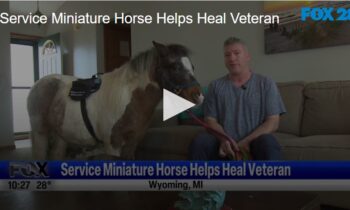 Service Miniature Horse Helps Heal Veteran