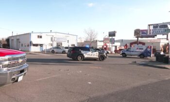 Nevada closed southbound near Euclid due to multi-vehicle crash