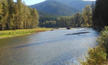 Search for man who fell out of boat in Coeur d’ Alene River underway