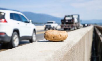 Terrific taters: Airway Heights potato pile highlights history of Inland Northwest spuds