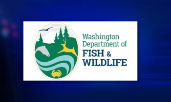 Washington Department of Fish and Wildlife update Fish Washington app