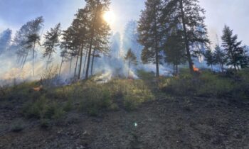 Kootenai County resumes Fuel Reduction Project to help reduce wildfires