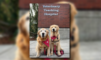 WSU celebrity dog seeks support during health crisis