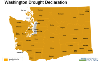 Statewide drought declared in Washington due to low snowpack, dry forecast