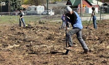 Medical Lake trees planted by students to replace those lost in wildfires