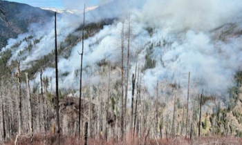 Prescribed burn planned for Nez Perce-Clearwater National Forests