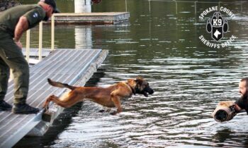 Spokane County Sheriff’s Office K9 dies unexpectedly