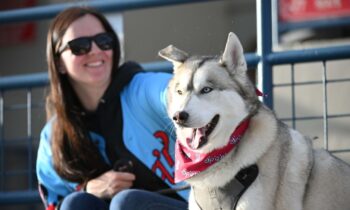 Furry friends return to the diamond for Spokane Indians ‘Bark in the Park’ night