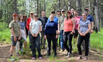 University of Idaho research team secures $15 Million grant to investigate impact of drought and fires on forests