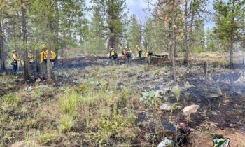 Spokane County Fire 3 stops brush fire near Moran Prairie