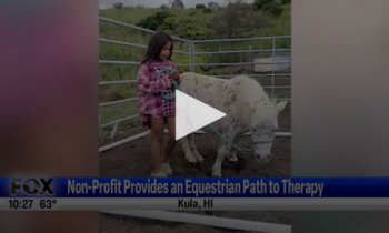 Nonprofit Provides An Equestrian Path To Therapy