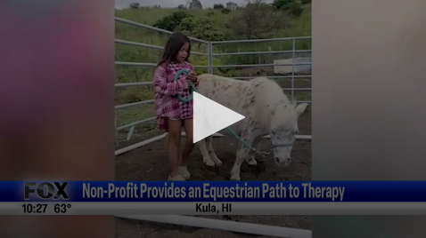 Nonprofit Provides An Equestrian Path To Therapy May 14th 2024