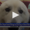Police Department Brings In Esa Dog To Boost Morale