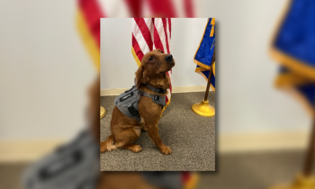 Airway Heights Police Department welcomes new K9 member