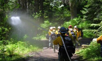 New Idaho wildland firefighters complete training