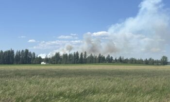 Half-acre fire burns near Geiger Heights