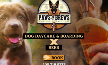 New dog daycare and brewery launches in Post Falls