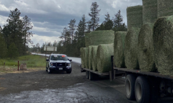 Truck hauling unsecured hay near Cheney endangers drivers on highway