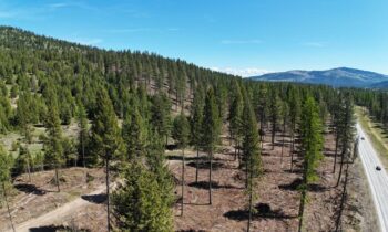 Idaho Panhandle National Forest receives $1 million for wildfire risk reduction