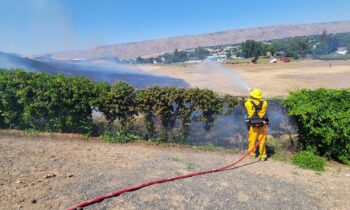 Washington and Idaho firefighters stop brush fire threatening homes near Clarkston