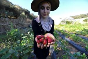 Algerian women pioneer eco-friendly farming | FOX 28 Spokane