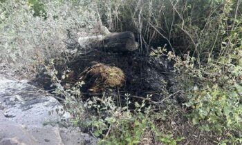 Medical Lake brush fire quickly extinguished by firefighters and residents