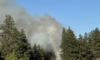 Fire crews respond to 5-to-10-acre brush fire