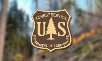 Washington receives over $1 million for forest preservation